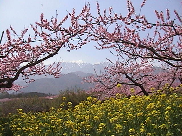 設計
